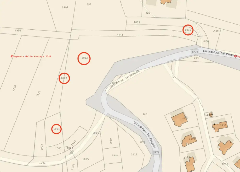 Terreno - Planimetry 1