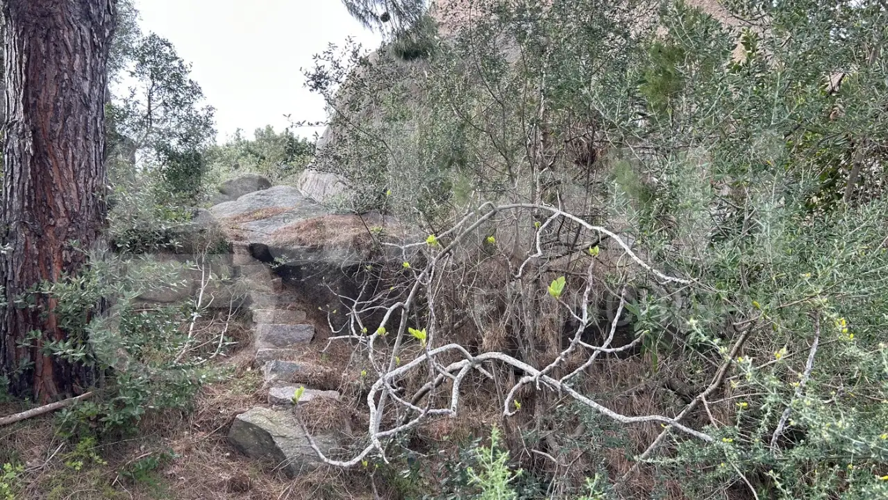 Casa Indipendente - Image 32