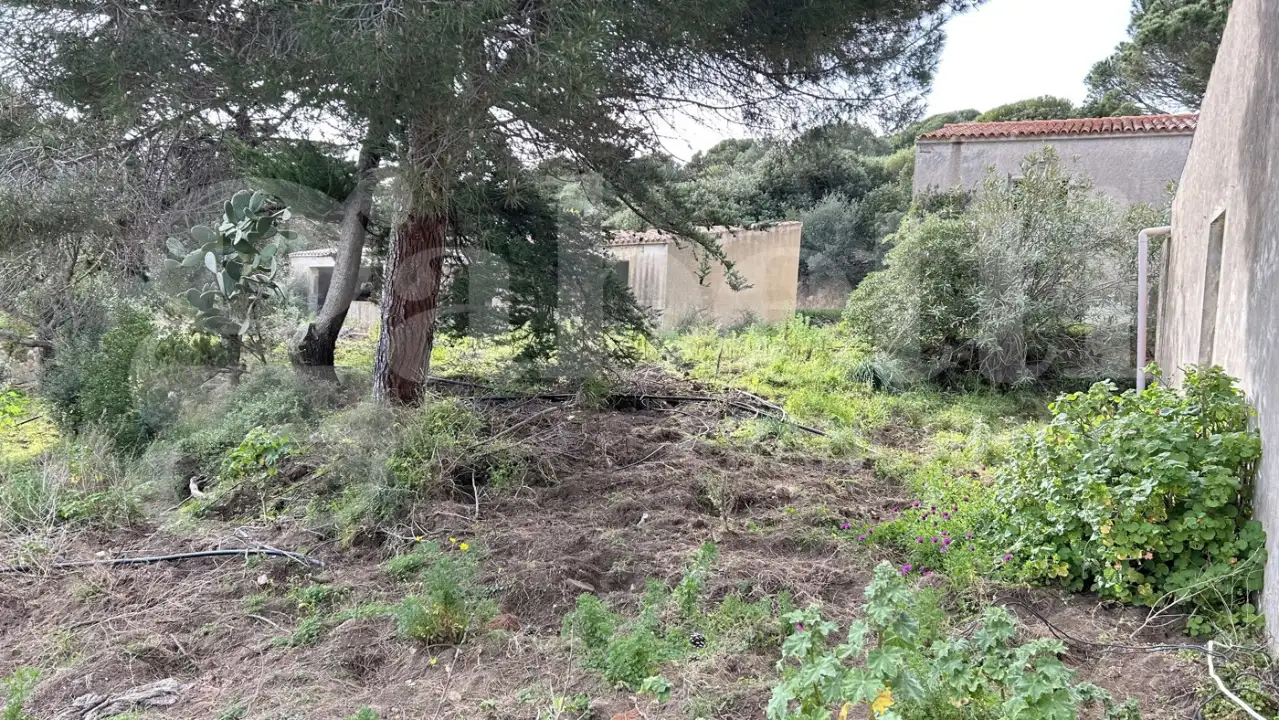 Casa Indipendente - Image 20