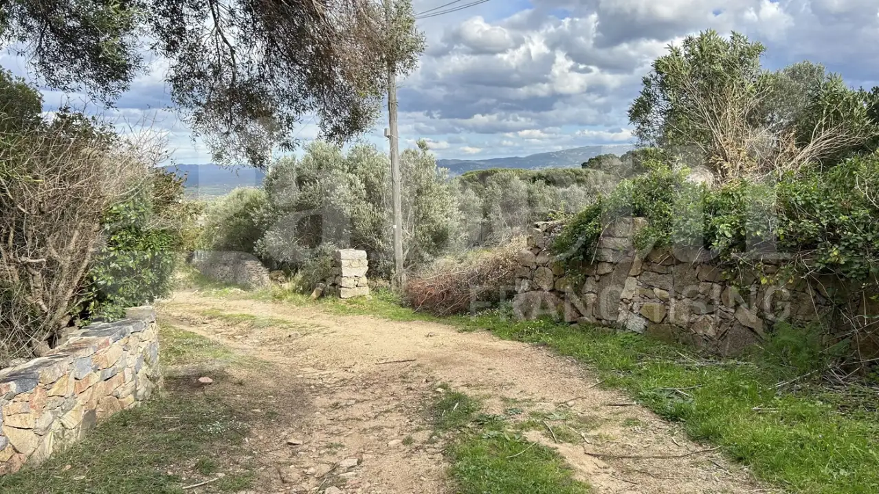 Casa Indipendente - Image 8