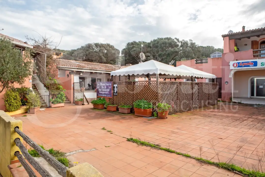 Attività - Image 26