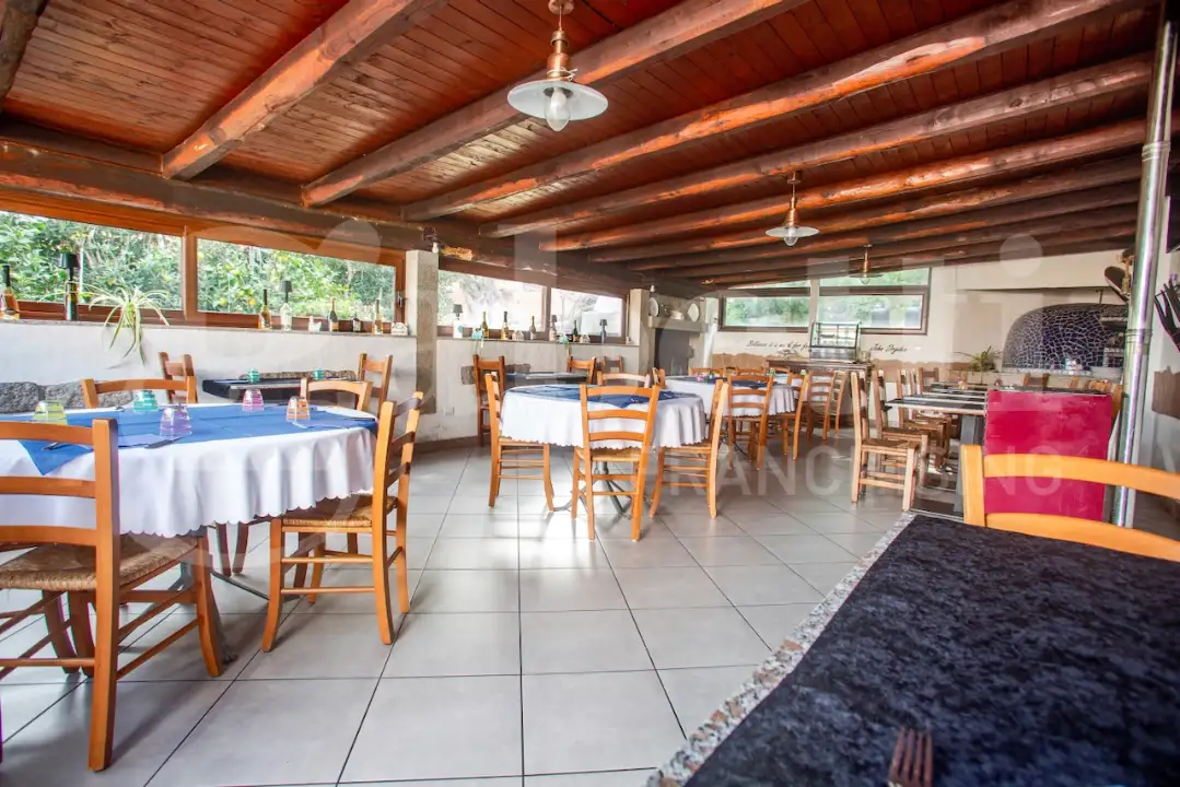 Attività - Image 15