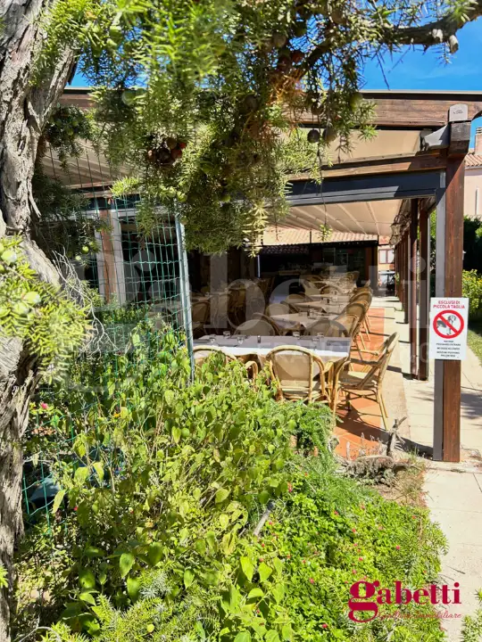 Attività - Image 26