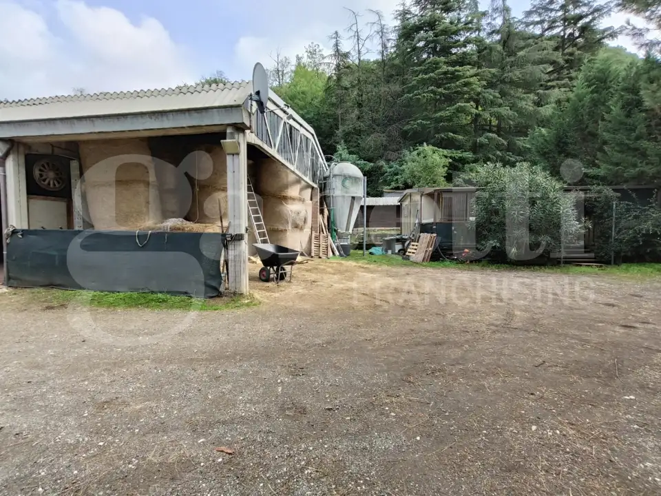 Attività - Image 10