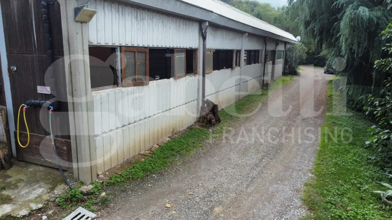 Attività - Image 13