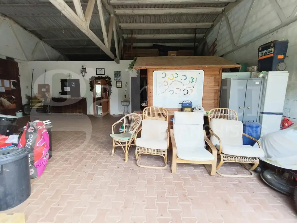 Attività - Image 12