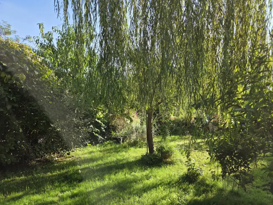 Appartamento - Image 19