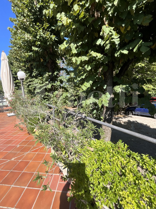 Complesso - Image 18