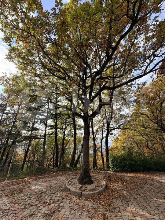 Casa Indipendente - Image 23