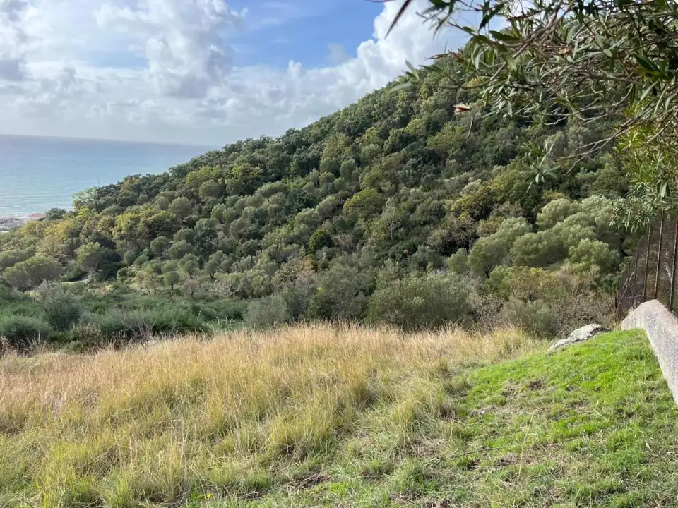 Casa Indipendente - Image 8