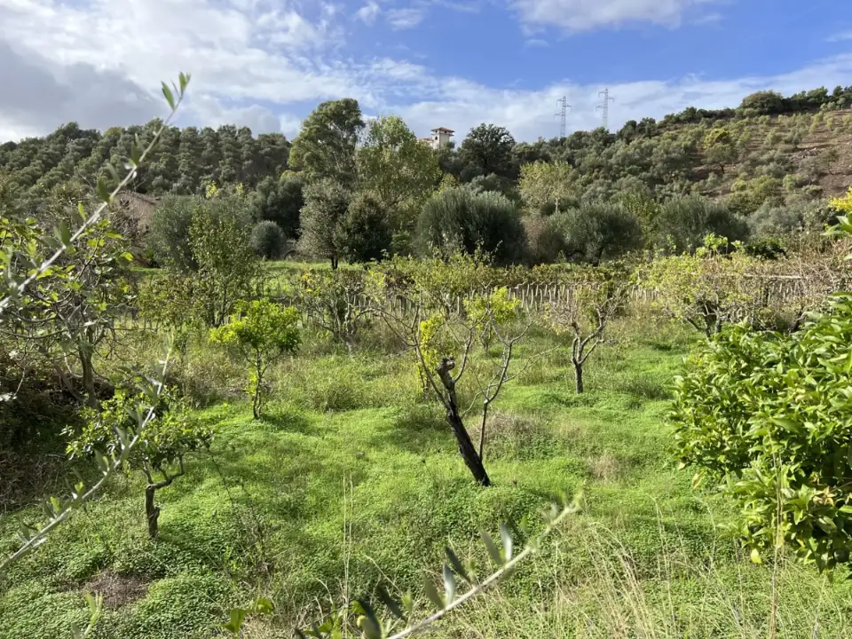 Casa Indipendente - Image 2