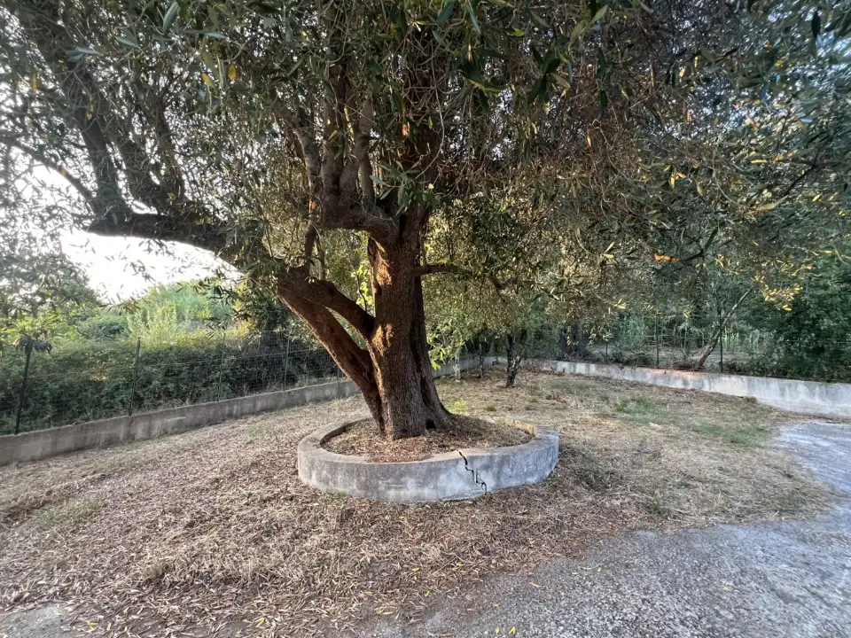 Casa Indipendente - Image 26