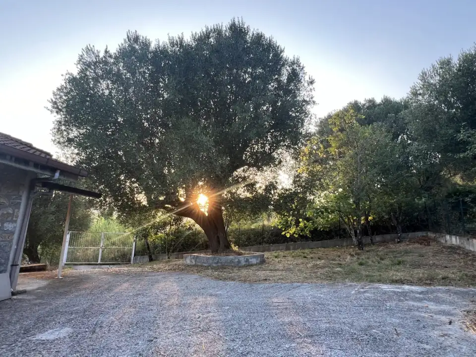 Casa Indipendente - Image 27