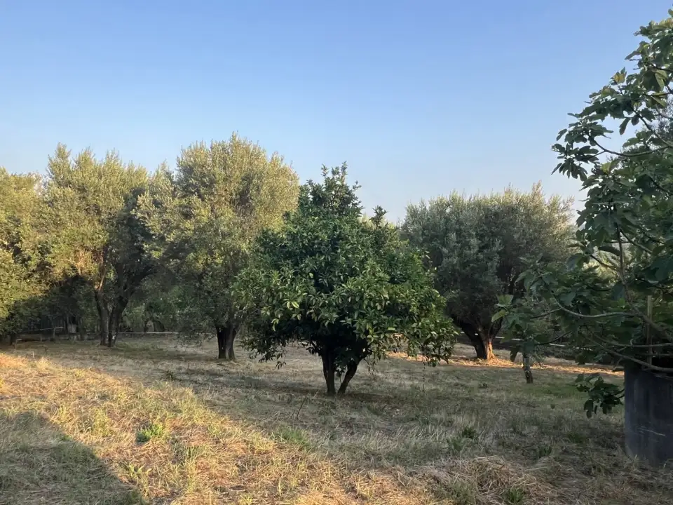 Casa Indipendente - Image 2