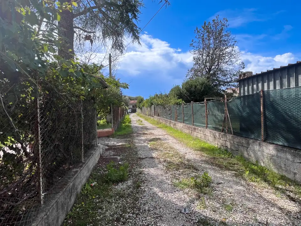 Capannone - Image 13