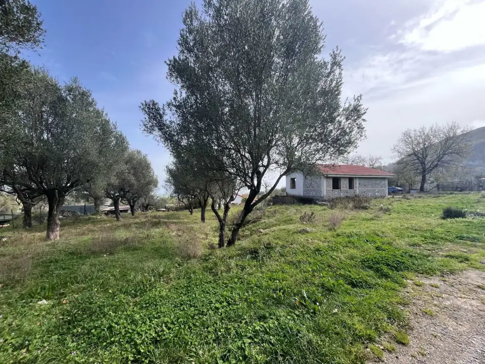 Casa Indipendente - Image 5