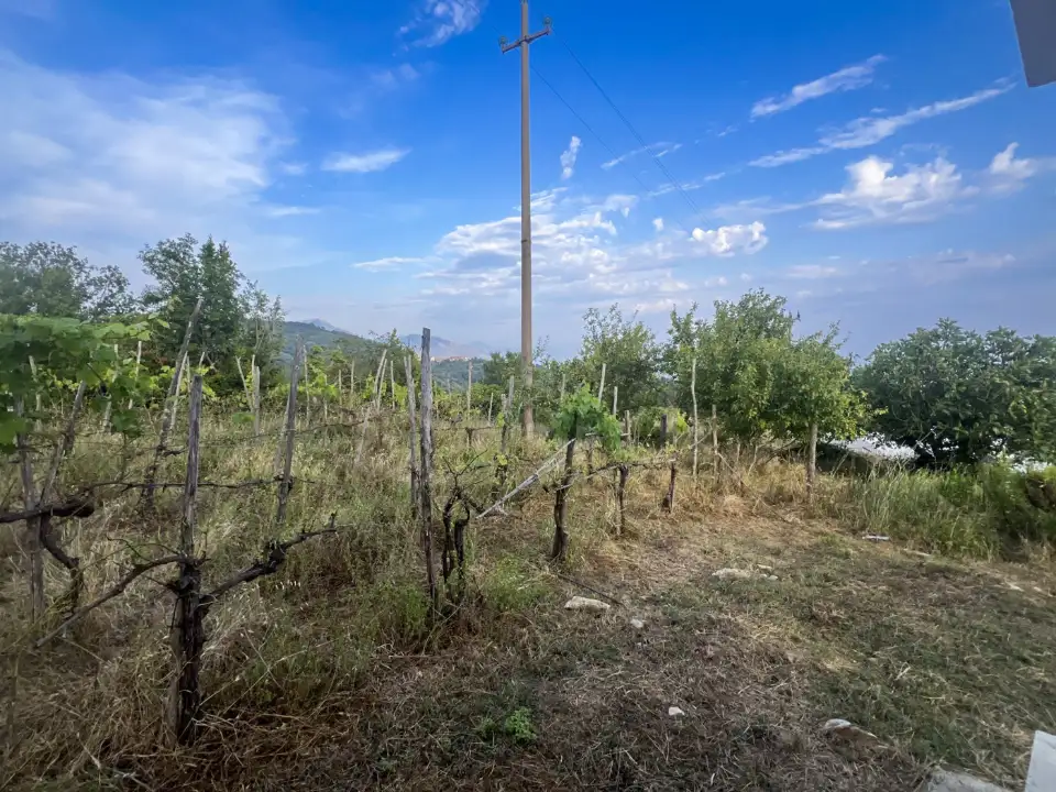 Casa Indipendente - Image 11