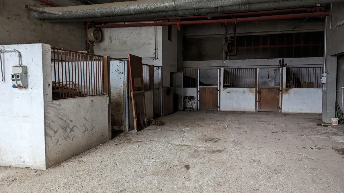 Casa Indipendente - Image 7