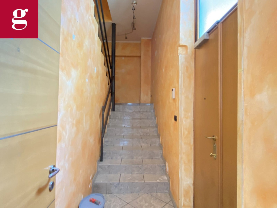 Magazzino - Image 4