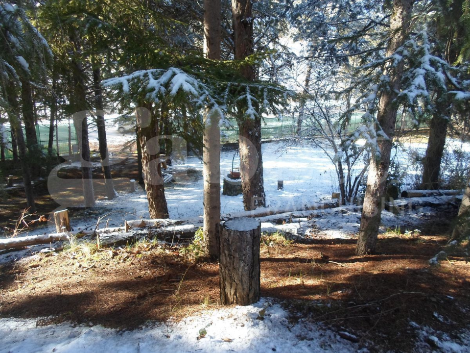 Appartamento - Image 36