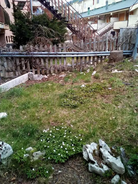 Appartamento - Image 14