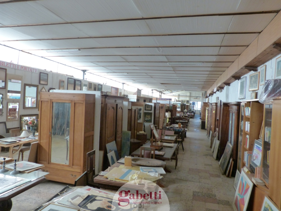 Attività - Image 12