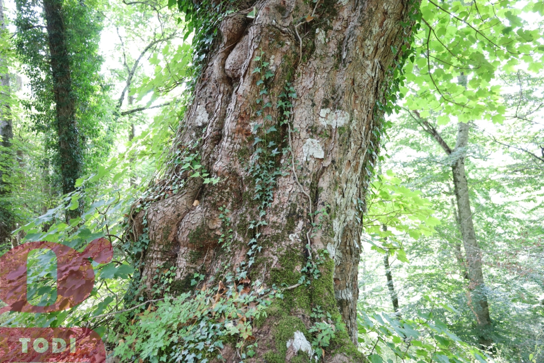 Casa Indipendente - Image 19