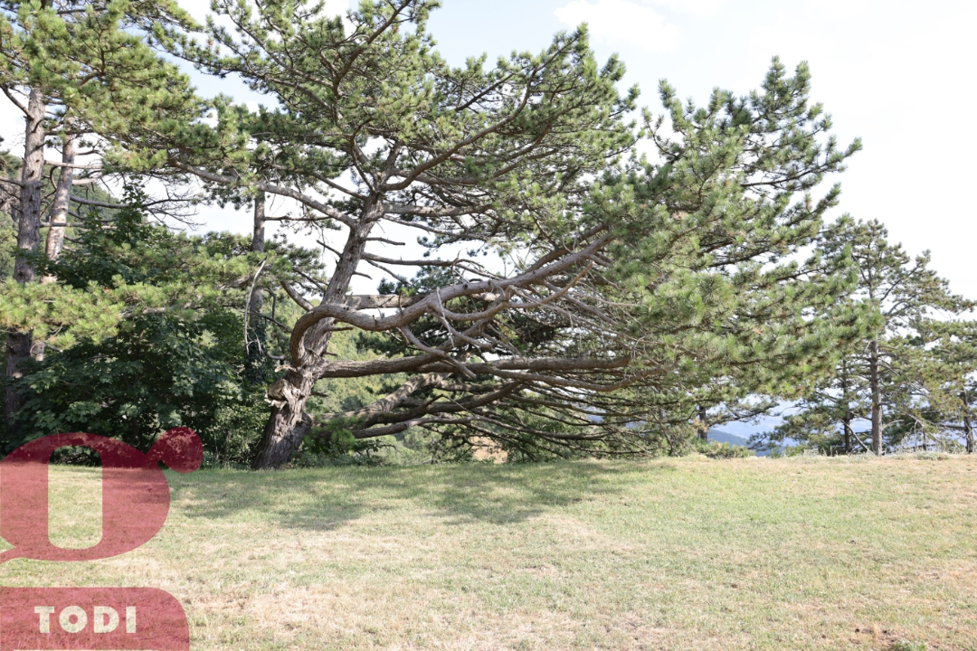 Casa Indipendente - Image 13