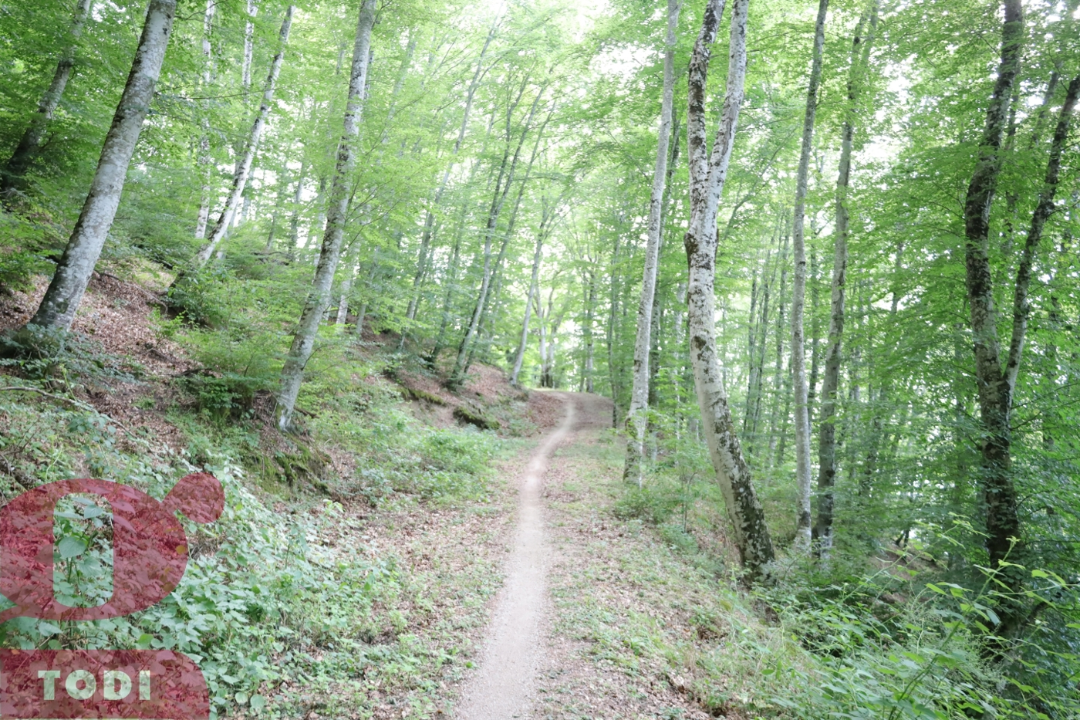 Casa Indipendente - Image 18