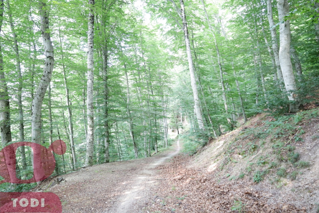 Casa Indipendente - Image 17