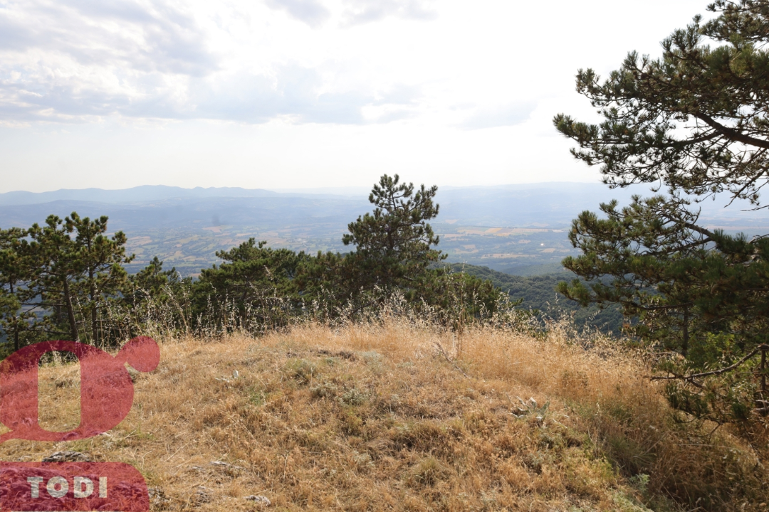 Casa Indipendente - Image 41