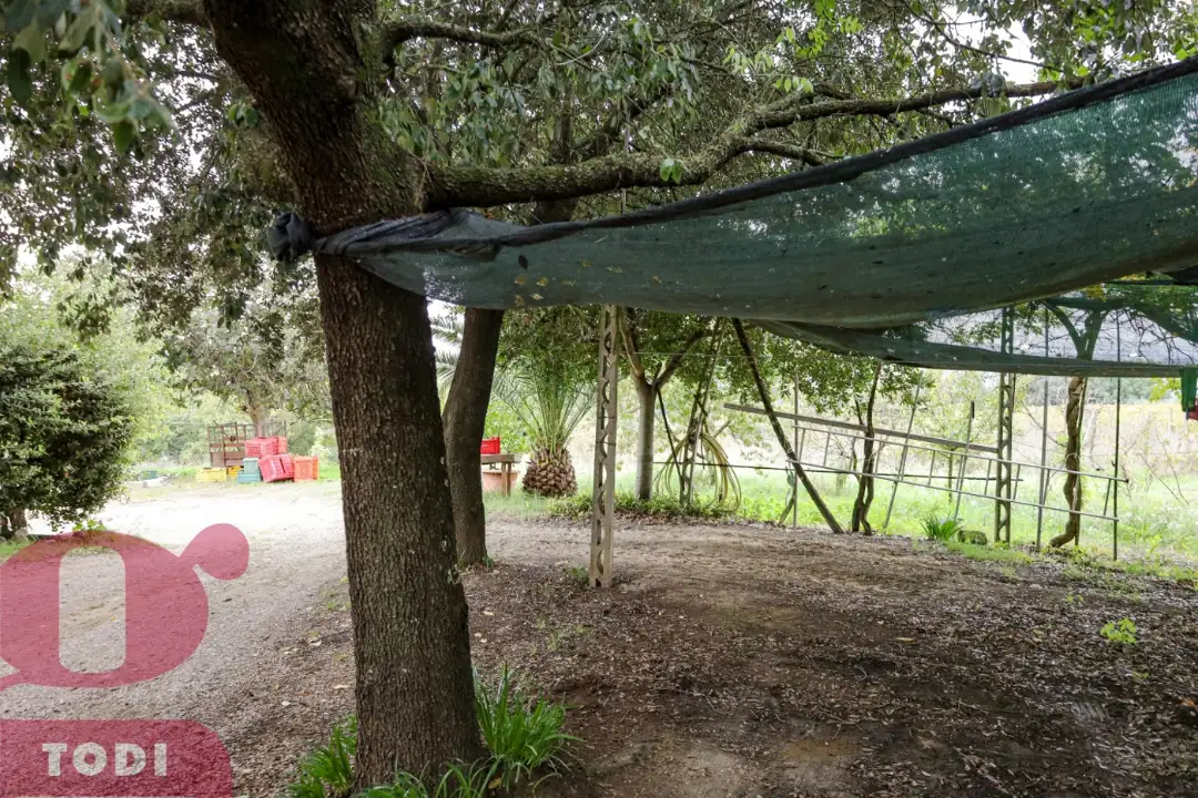 Appartamento - Image 17