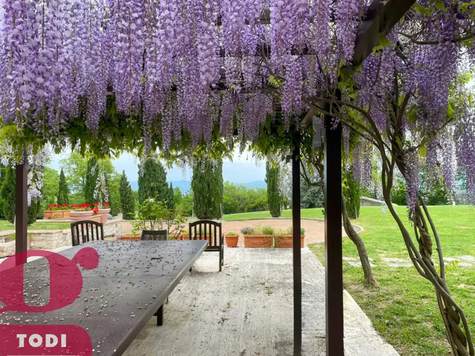 Casa Indipendente - Image 6