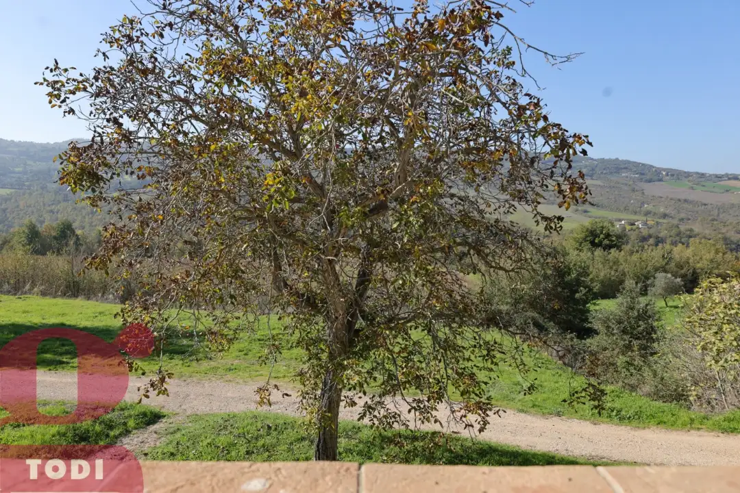 Casa Indipendente - Image 36