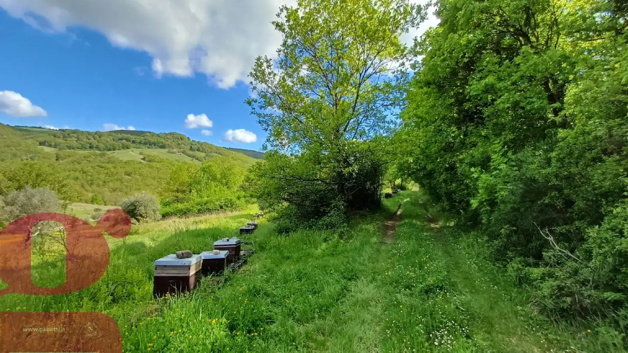 Casa Indipendente - Image 24