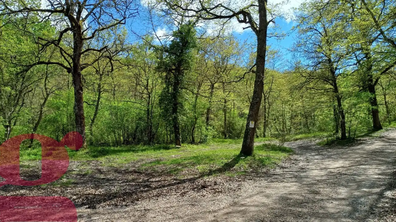 Casa Indipendente - Image 4