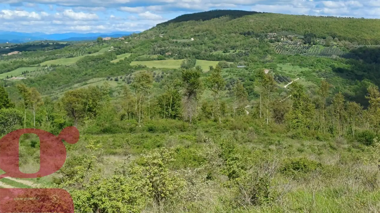 Casa Indipendente - Image 22