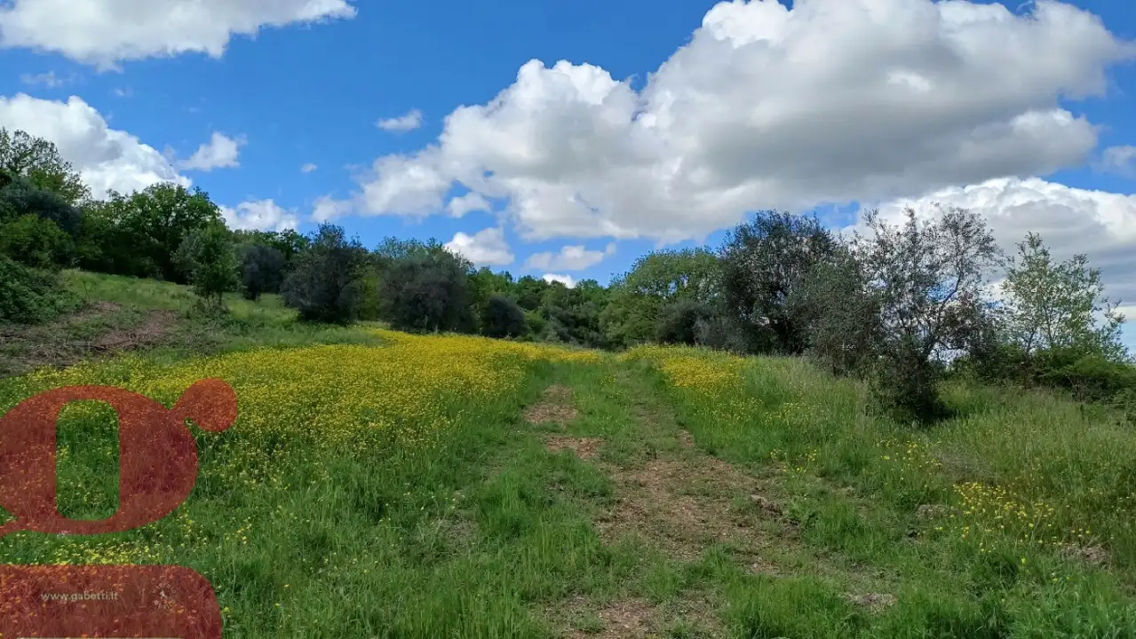 Casa Indipendente - Image 7