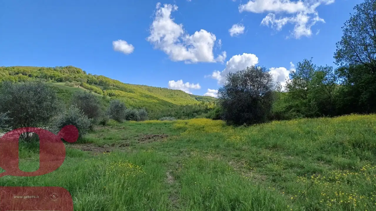 Casa Indipendente - Image 8