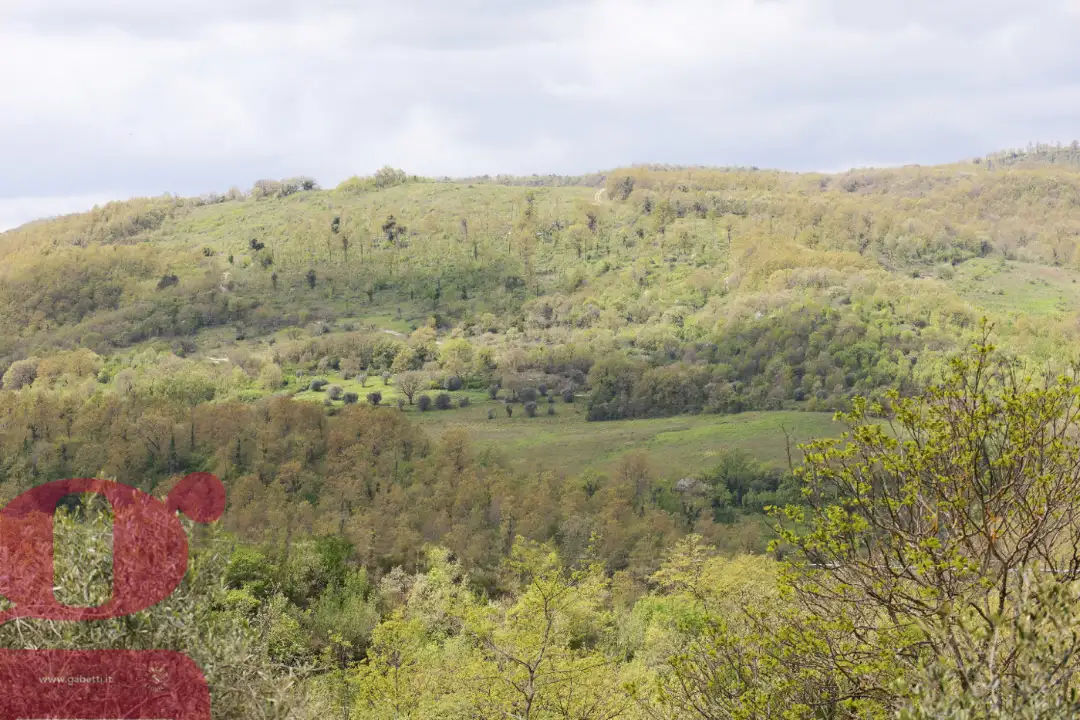 Casa Indipendente - Image 35