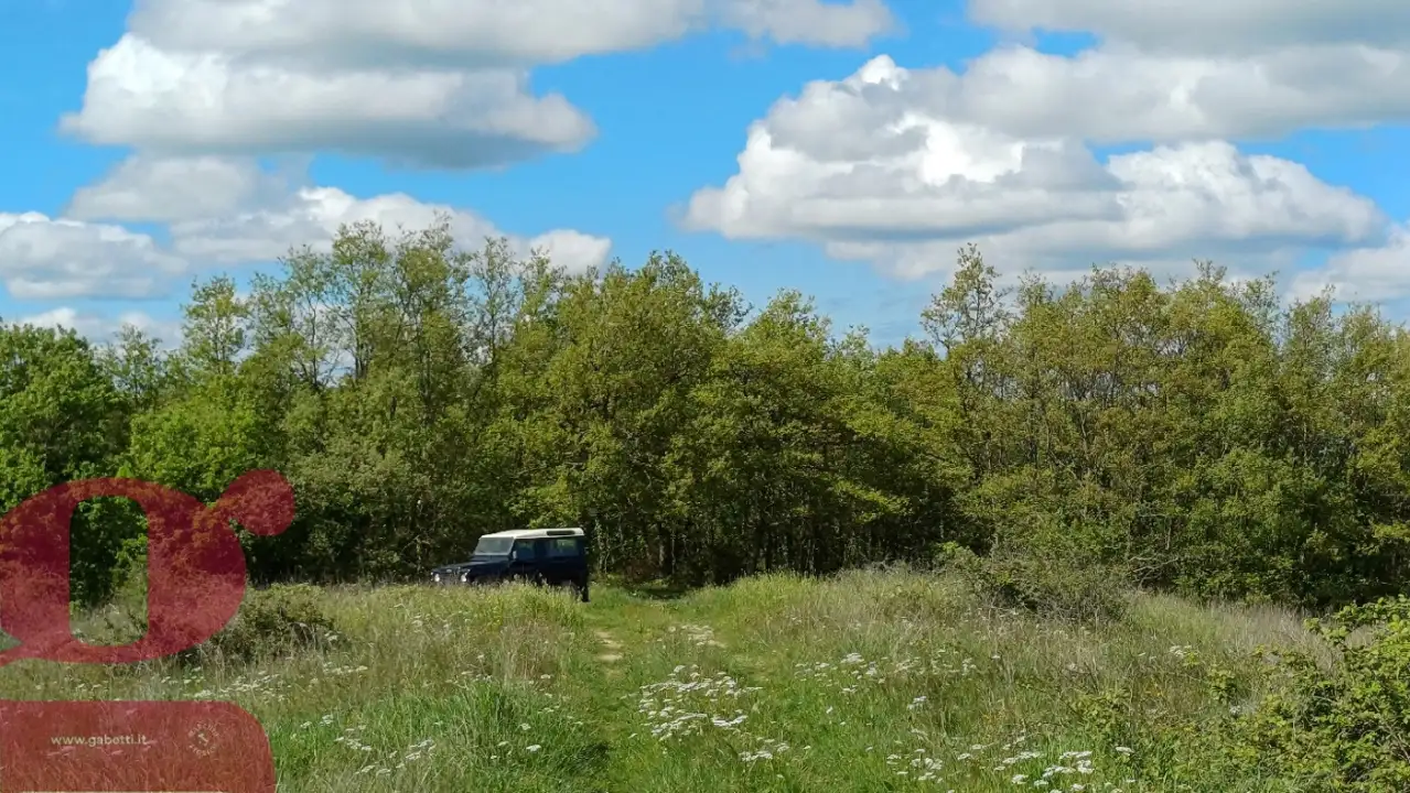 Casa Indipendente - Image 19