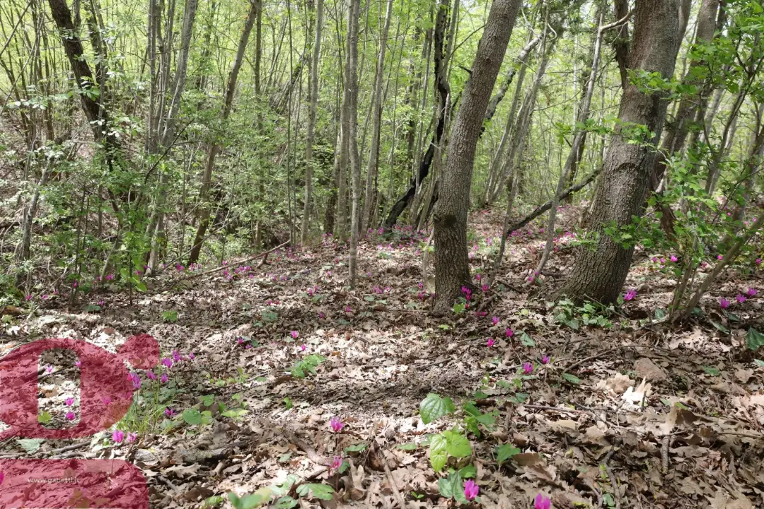 Casa Indipendente - Image 27