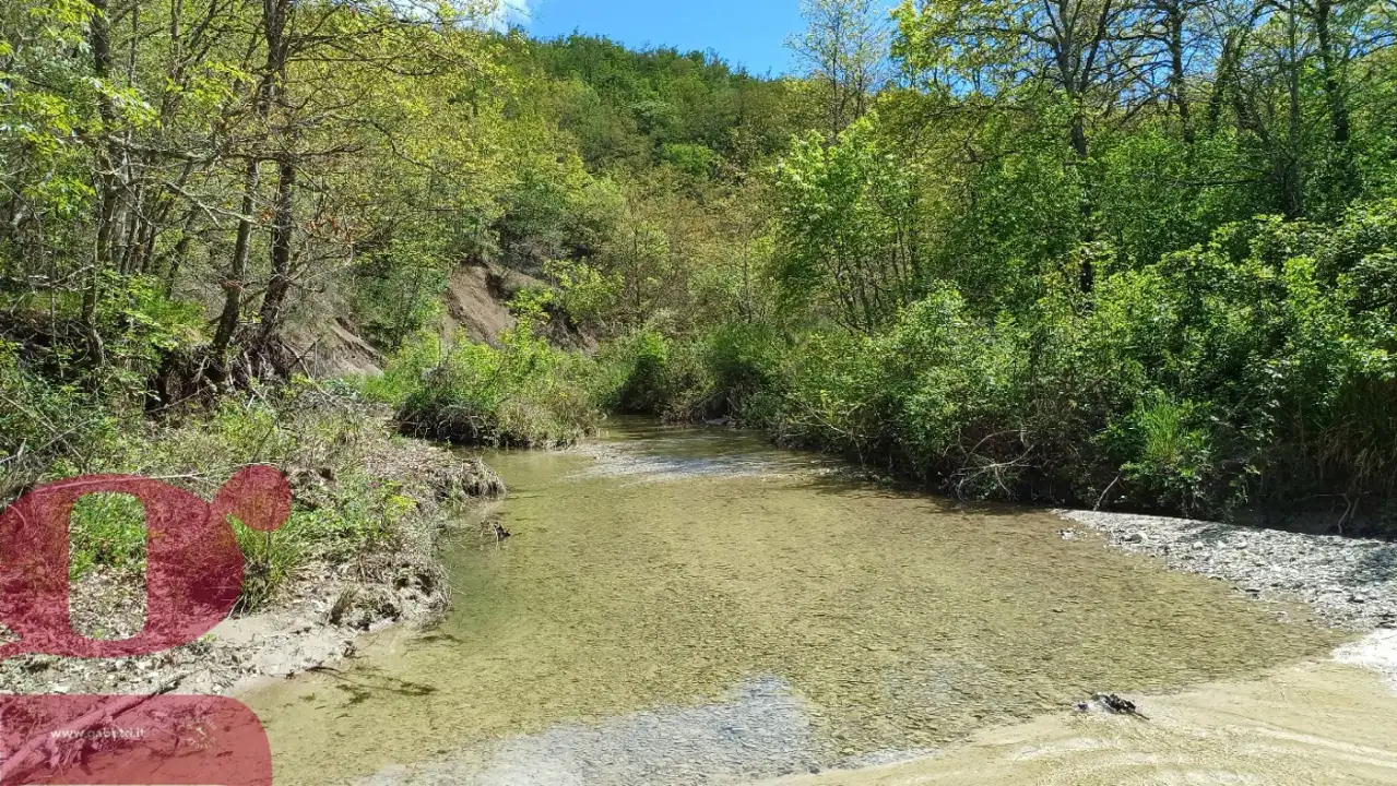 Casa Indipendente - Image 3