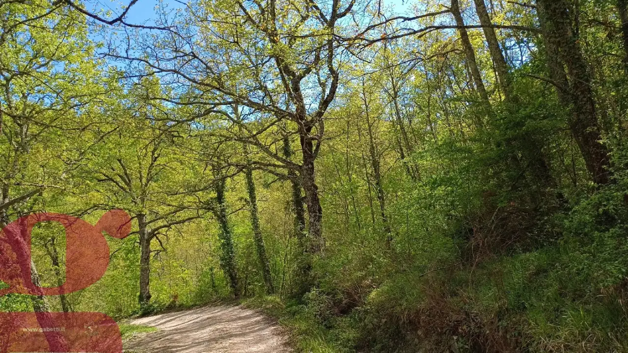 Casa Indipendente - Image 33