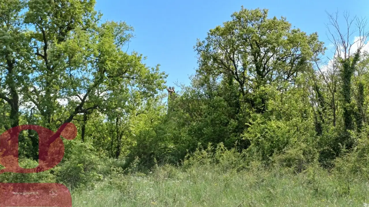 Casa Indipendente - Image 14
