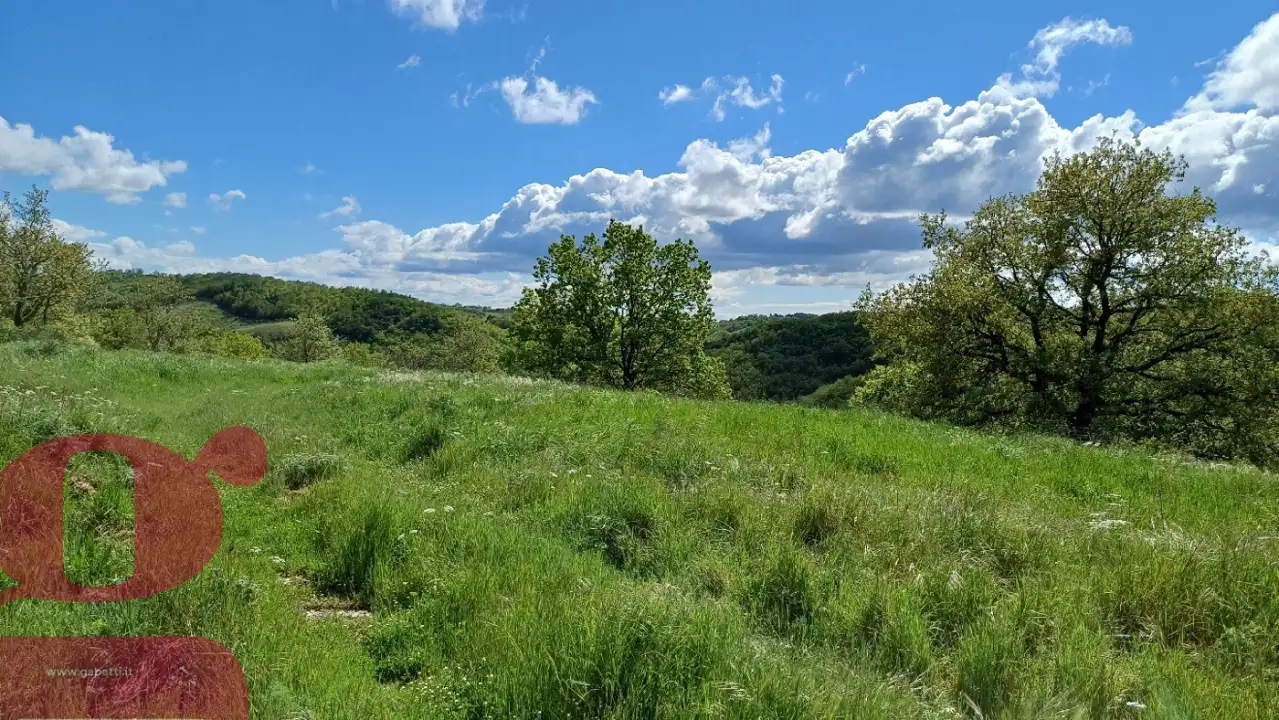 Casa Indipendente - Image 13