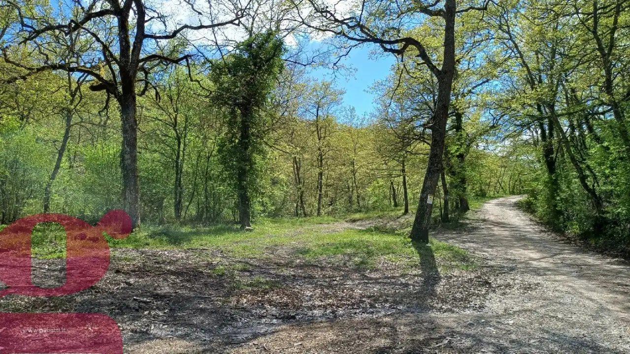 Casa Indipendente - Image 5