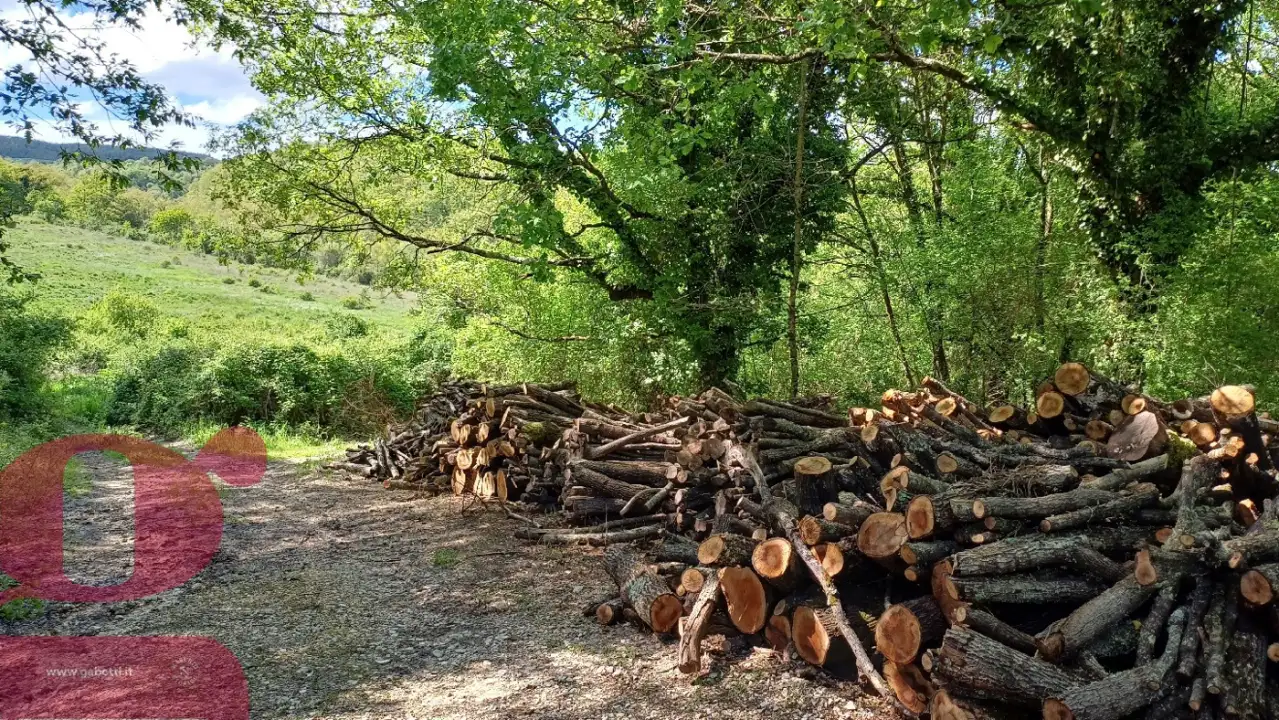 Casa Indipendente - Image 9