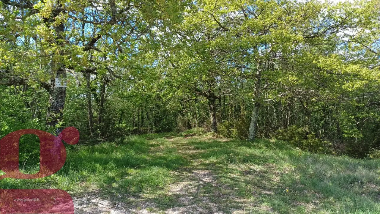 Casa Indipendente - Image 20