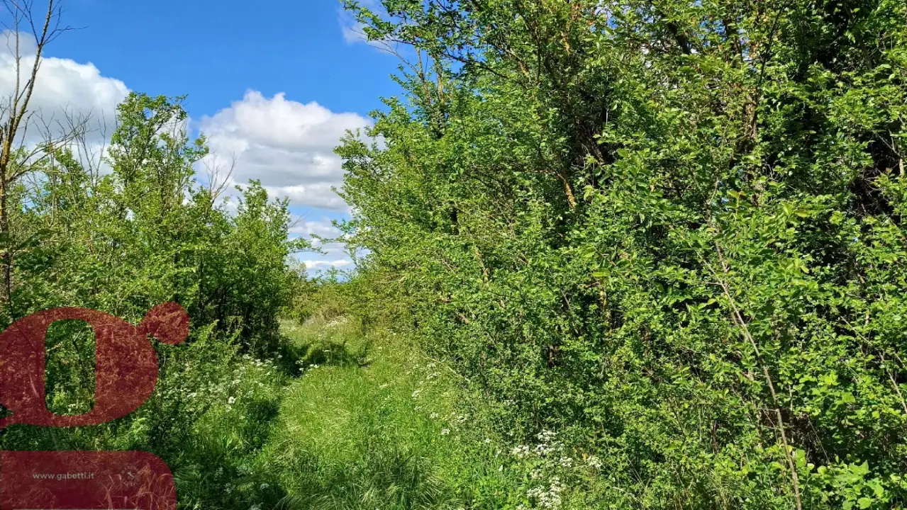 Casa Indipendente - Image 15